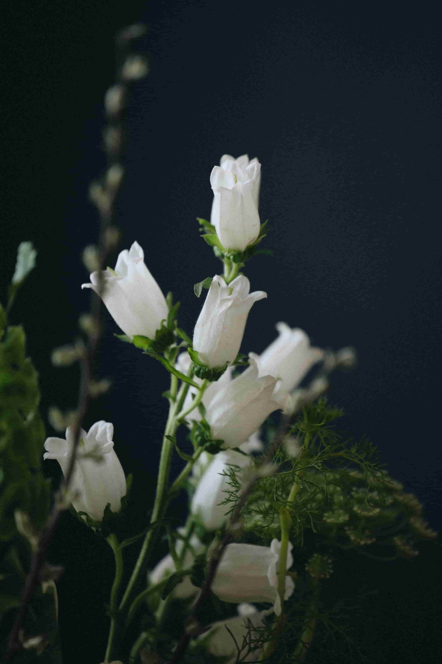 Campanula blooms in seasonal bouquet by Kvetka Flower – part of Deluxe Subscription