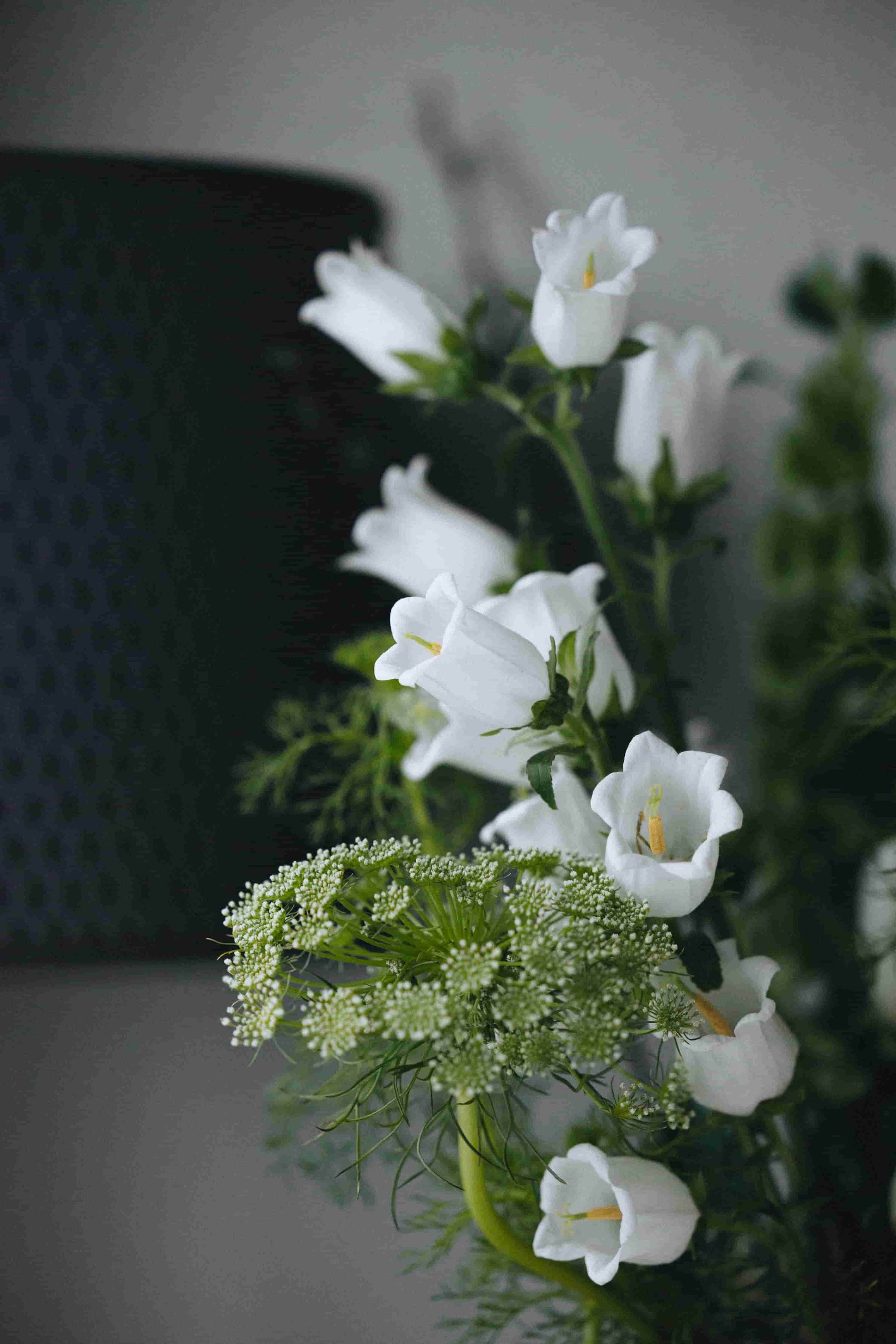 Close-up of white bellflowers and Queen Anne’s lace in bouquet – Kvetka Flower
