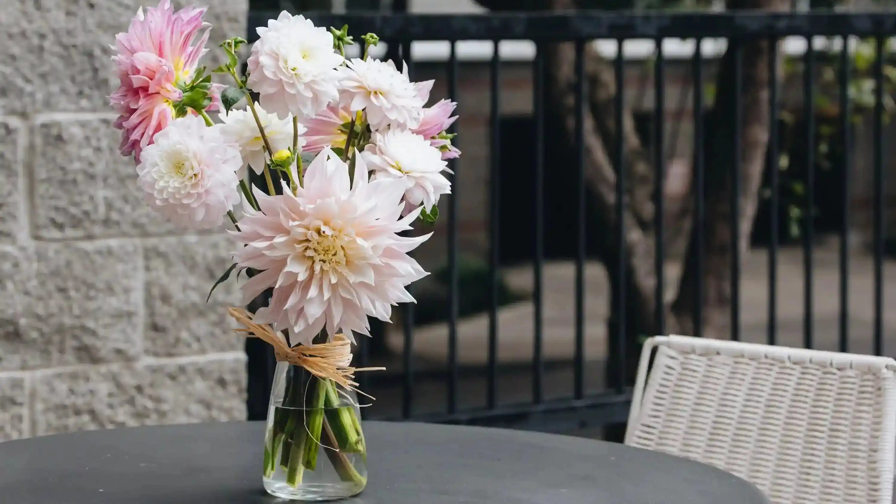 Light pink dahlias arranged for a modern office or patio space — delivered with Kvetka Flower’s floral subscription in Austin, TX.