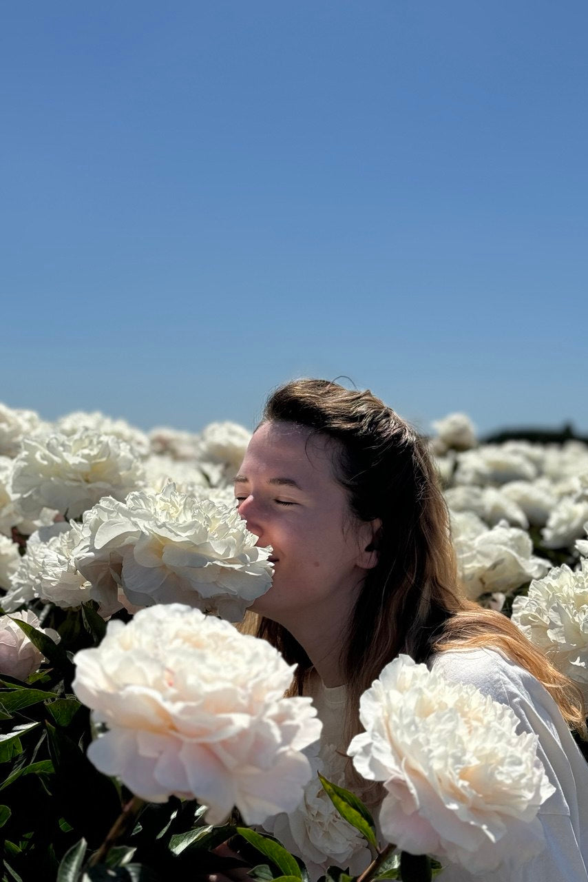 Woman smelling white peonies in a peony field at a local flower farm
